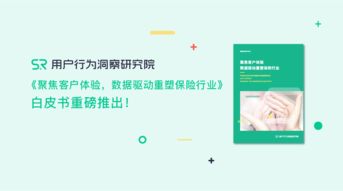 199it 互聯網數據資訊的橋梁與網絡技術服務的引擎